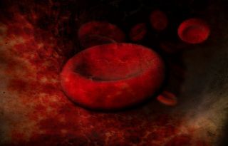 Red Blood Cell Andrew Mason